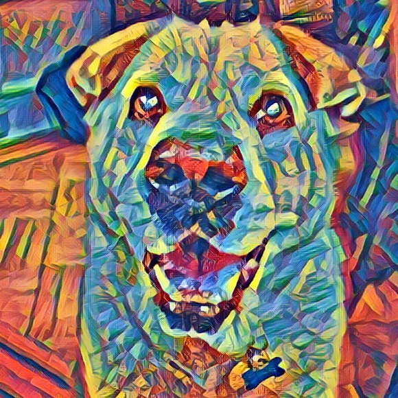 chilidon22